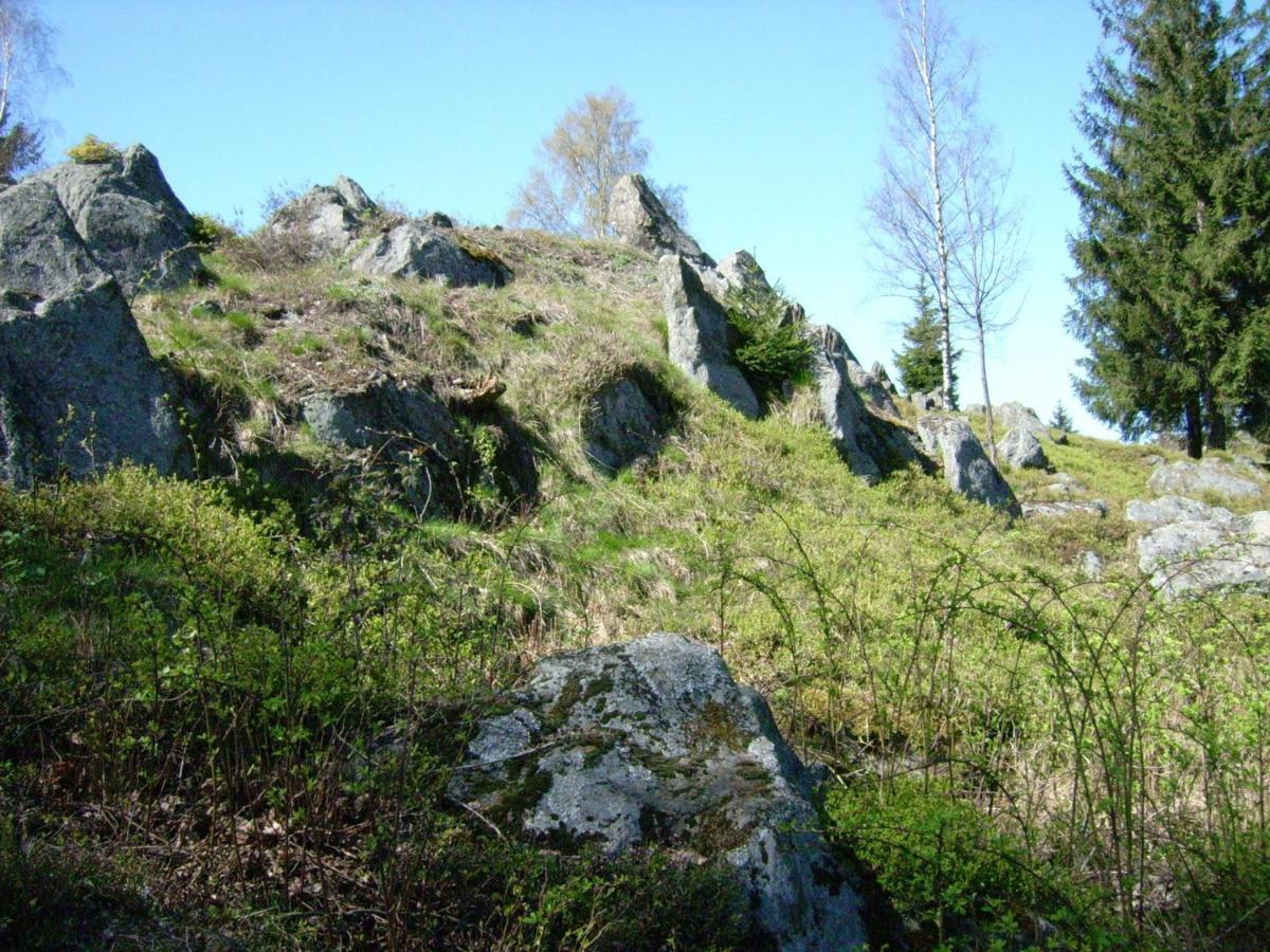Holiday Home Near The Ski Slope Stadlern Екстер'єр фото